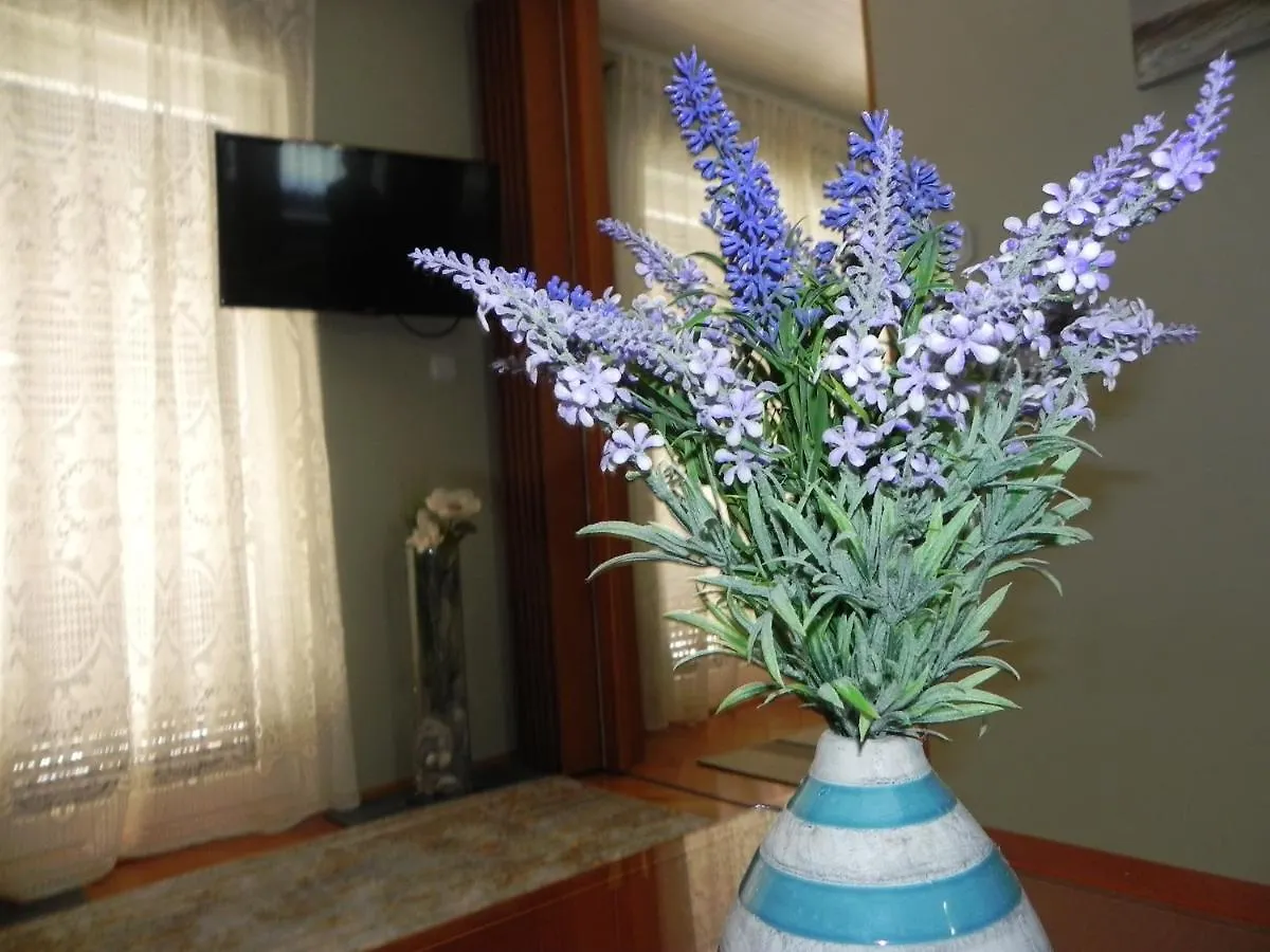 Apartments Katalenic Selce